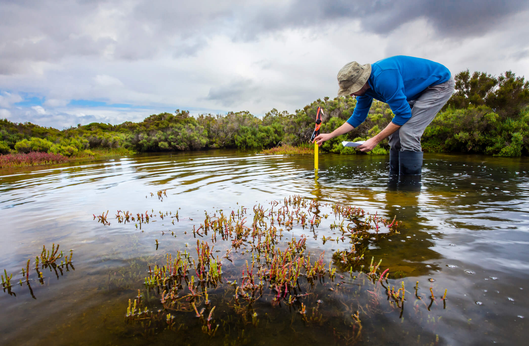 Man surveying pond depth