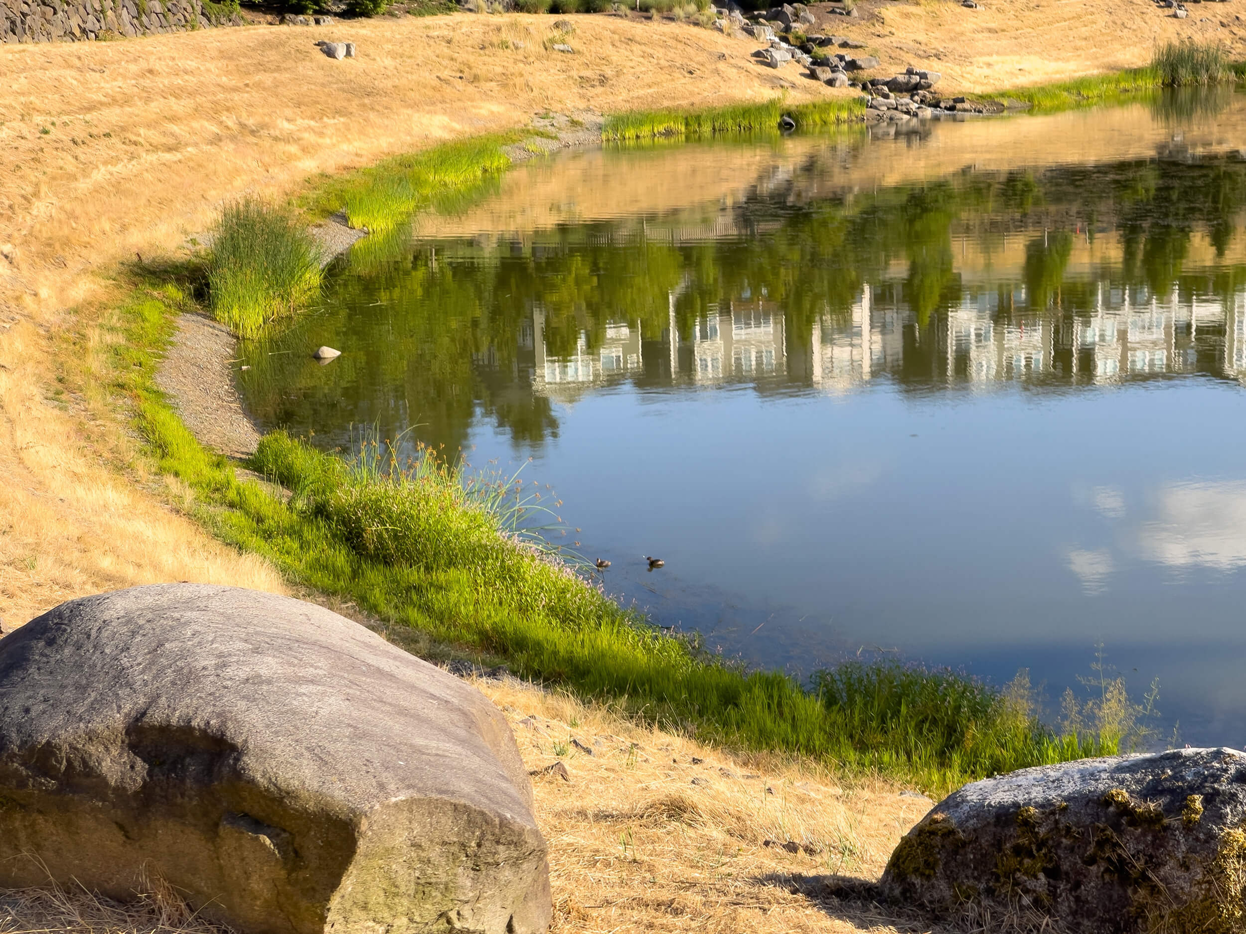 Stormwater pond in residential area