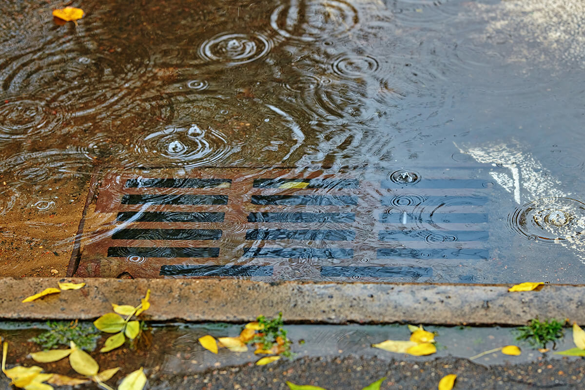 Storm drain during rainfall